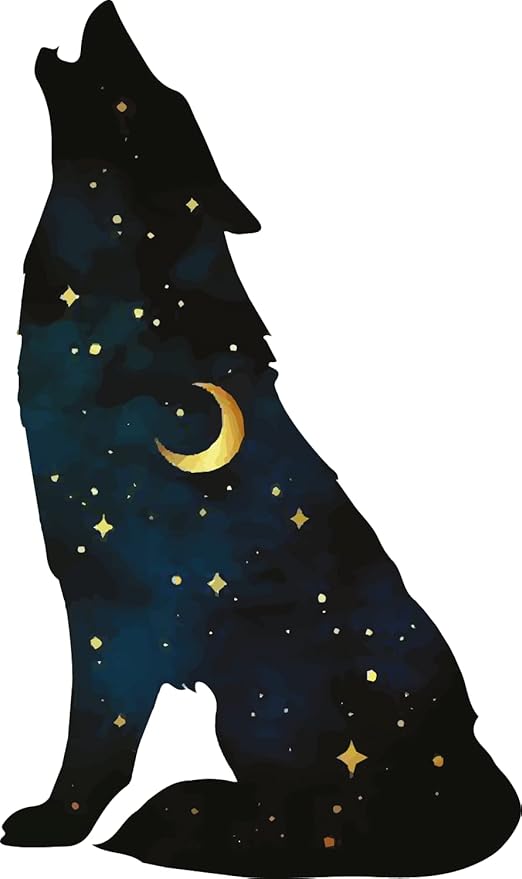 51+alhX7mxL._AC_SY879_